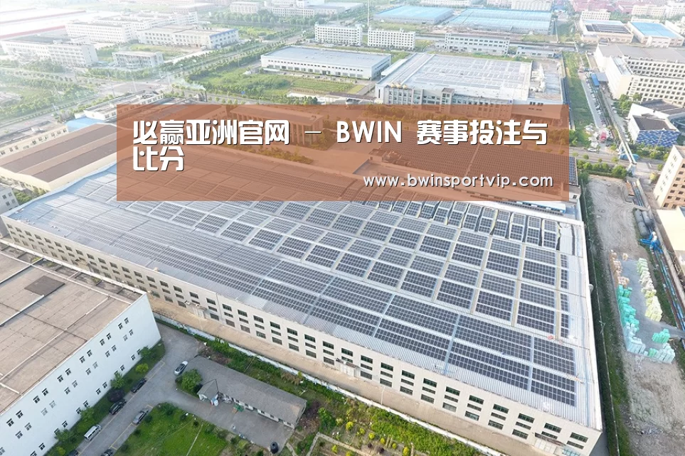 案例展示二
