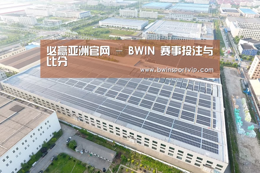 案例展示一