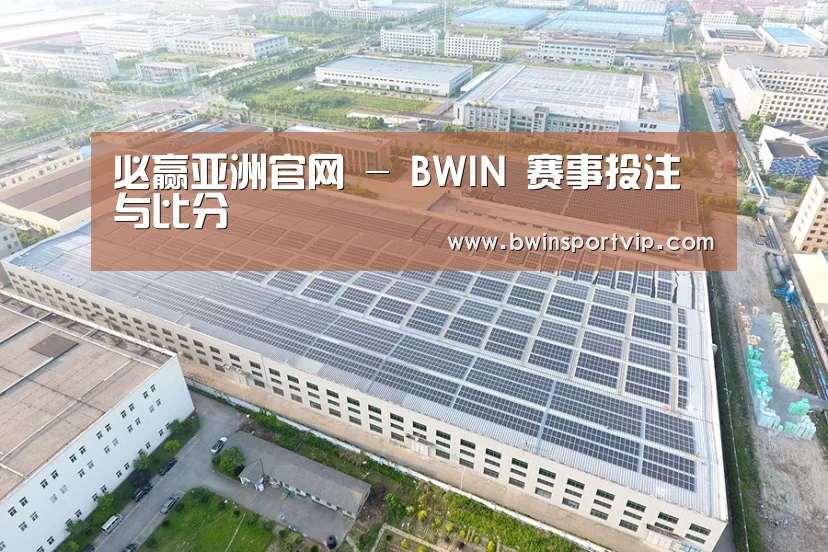 案例展示二