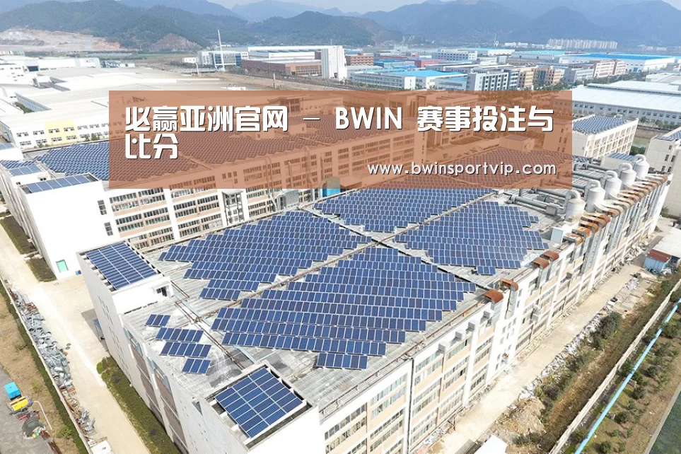 案例展示四