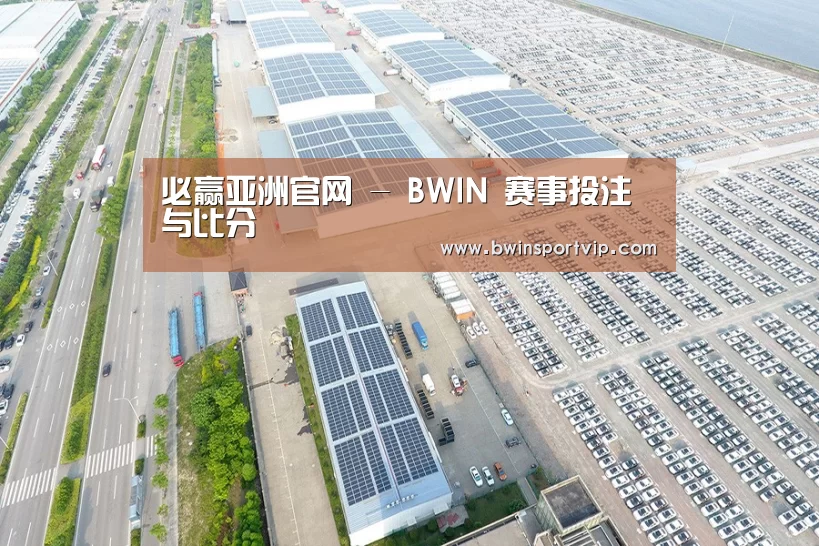案例展示四