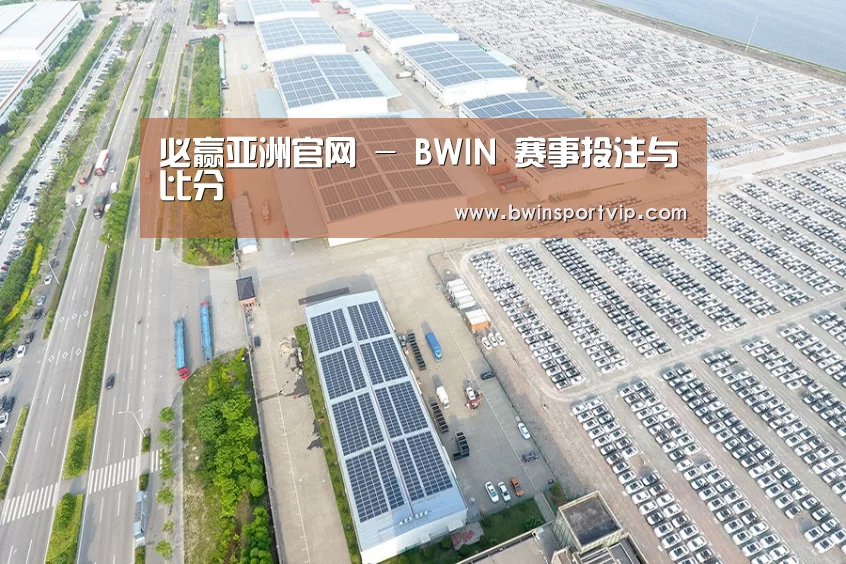 案例展示三