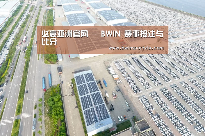 案例展示二