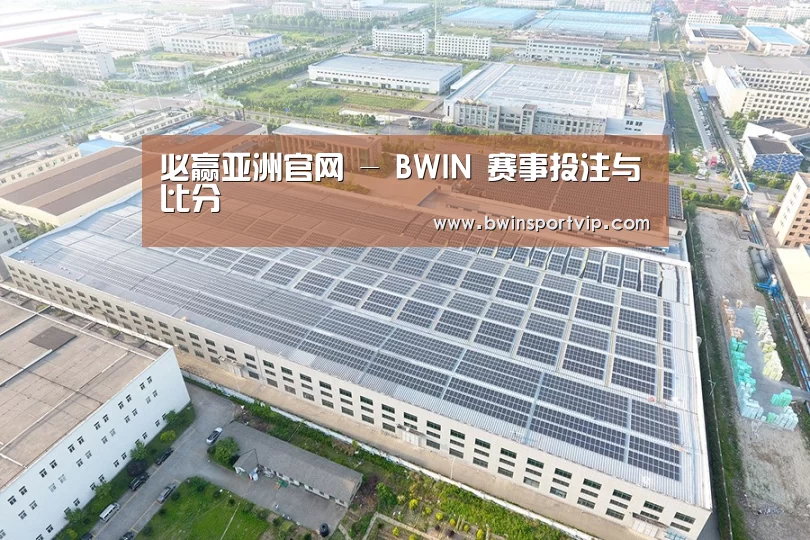 案例展示四