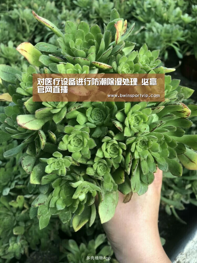 必赢亚洲体育
